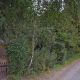 Pavel Urban - Pohoda u Pavla