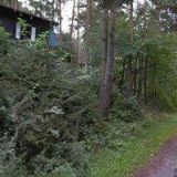 Zuzana Herzogová - Camp Pohoda (Tachov)