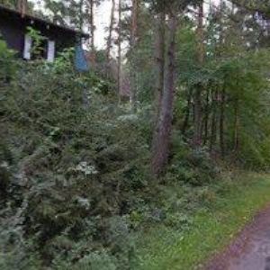 obrazek: avatar Zuzana Herzogová - Camp Pohoda (Tachov)