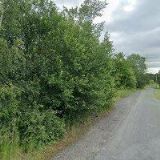 Helena Kaňjaková - firma Q