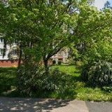 Mr. Forester, s.r.o.