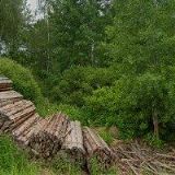 Travel Free, s.r.o. (Tachov)