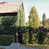 RPVET - VETERINÁRNÍ ORDINACE MVDr. RADEK PROTIVA