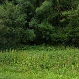 MVDr. Břetislav Pojar