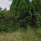 Jaroslav Rédl - chov koní