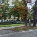 Karel Rožeň, Coalex