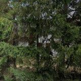 BRUSIVO, spol. s r.o.