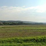 Zemědělské družstvo Kozojedy, družstvo - v likvidaci