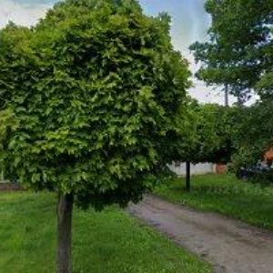 obrazek: avatar Jan Novák