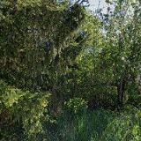 Ing. Ladislav Kovařík