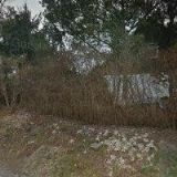 Ludmila Krupičková - Fortis