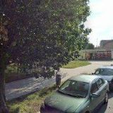 Ing. Ivana Pechmannová