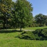 František Přibáň