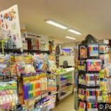 Česká pojišťovna, a.s. (Domažlice)