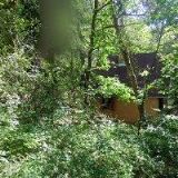 Ladislav Urban (Tachov)