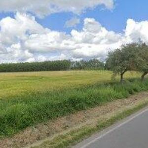 obrazek: avatar Marius Pedersen, a.s. (Plzeň-jih)