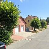 Vladimíra Falkenauerová - Arbor