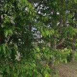 ZO Českého svazu ochránců přírody 22/7