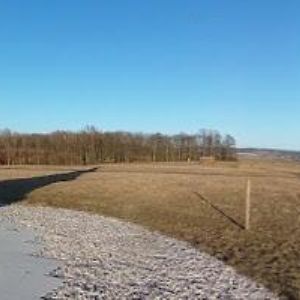 obrazek: avatar Český svaz ochránců přírody (Plzeň-jih)