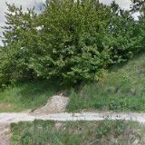 Tachovský ornitologický spolek