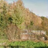 Tomáš Voráček - Antes