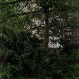 Jaroslav Kaas - Kaassoft