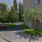 Dr. Radovan Rebstöck - Nakladatelství