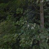 MTM Dokument Management Plzeň, s.r.o.