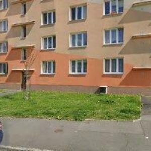 obrazek: avatar Jana Šnajdrová