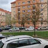 MVDr. Rostislava Fábiková