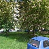 Václav Krulec - Elan elektro