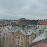 Ing. Luboš Koutný (Plzeň-město)