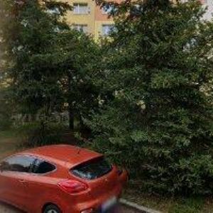 obrazek: avatar Pavel Hrdina