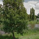 Plzeňské komunikace, spol. s r.o.