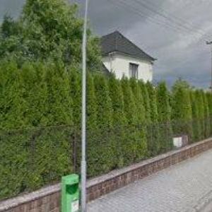 obrazek: avatar Dybs Plzeň, s.r.o.