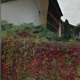 Bohumír Havránek-Autodoprava-Zemní práce