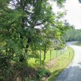 Českomoravská kynologická federace