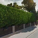 Jaroslav Schejbal S.O.F.