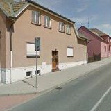 Karel Hanzlíček - Rex