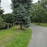 Vladimír Kadlec - zedník