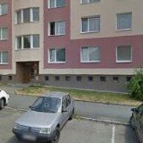 Ing. František Bambas