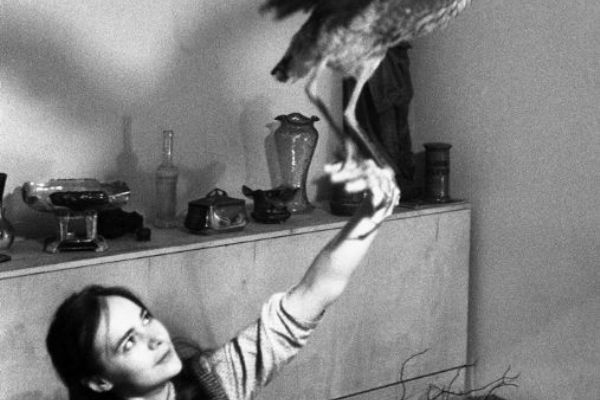 Jan Ságl, Věra s volavkou, 1969