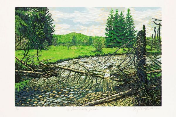 Zbyněk Hraba, U Prášilského potoka, 2011