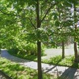 překlady soudní tlumočení Fišer