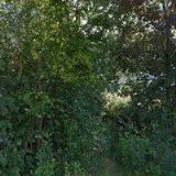 Stavitelství Čermák