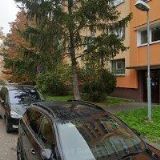 Alois Mravík , AM obklady - interiéry