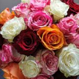 Květinářství Plzeň