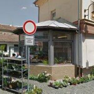 obrazek: avatar Harmonizační centrum JL technologie 