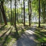 Apartmány Slunečnice