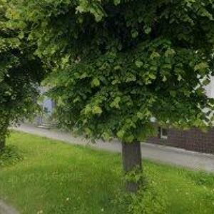 obrazek: avatar Ing.Jiří Souhrada
